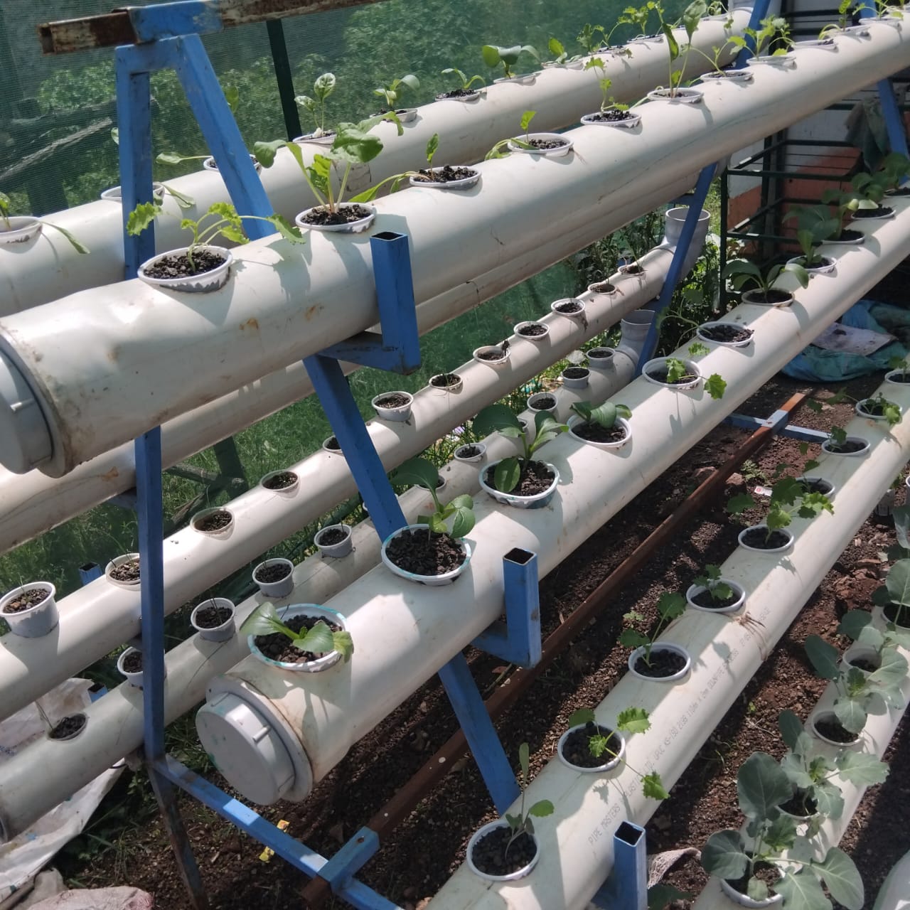 Advanced spiral hydroponic system